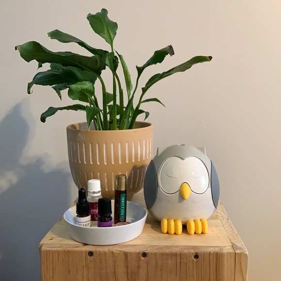 Other - Feather the Owl Young Living Diffuser